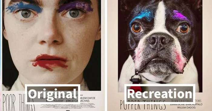 Dog Daycare Steals The Show, Recreating Hilarious Movie Posters Of Oscar-Nominated Films (10 Posters)