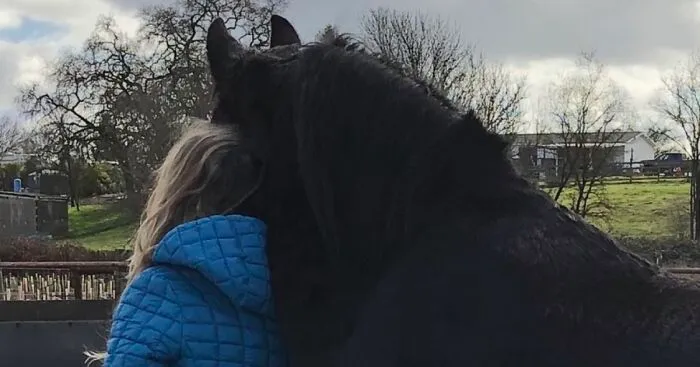 Hey Pandas, Show A Photo Depicting Your Relationship With Your Horse (Closed)