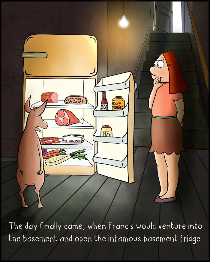 Basement Fridge