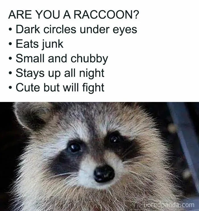 50 Funny Memes Those Who Are Barely Functioning Will Probably Relate To (New Pics)