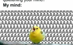 50 Funny Memes Those Who Are Barely Functioning Will Probably Relate To (New Pics)