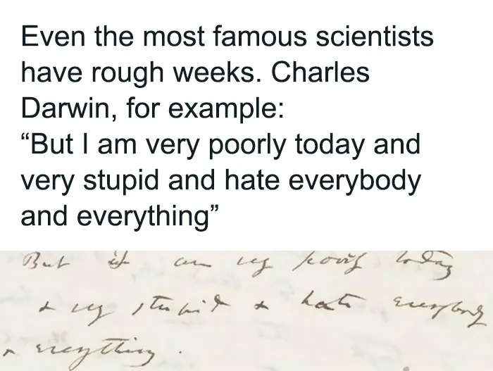 50 Funny Memes Those Who Are Barely Functioning Will Probably Relate To (New Pics)