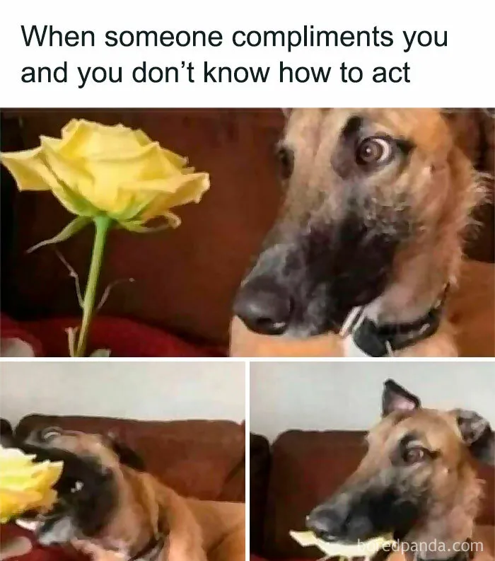 50 Funny Memes Those Who Are Barely Functioning Will Probably Relate To (New Pics)