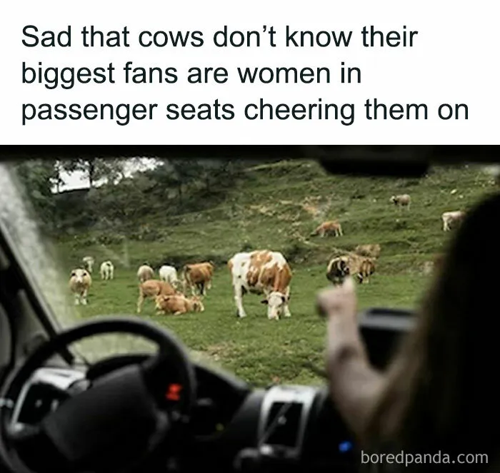 50 Funny Memes From ‘Women’s Humor’ You May Relate To (New Pics)