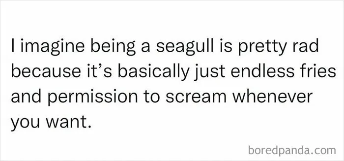 50 Funny Memes From ‘Women’s Humor’ You May Relate To (New Pics)
