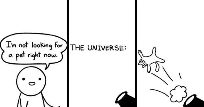 50 Of The Newest Comics About Life As An Introvert By Sarah Andersen