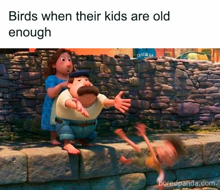 30 Of The Best “Birding Memes” Shared On This Dedicated Facebook Page