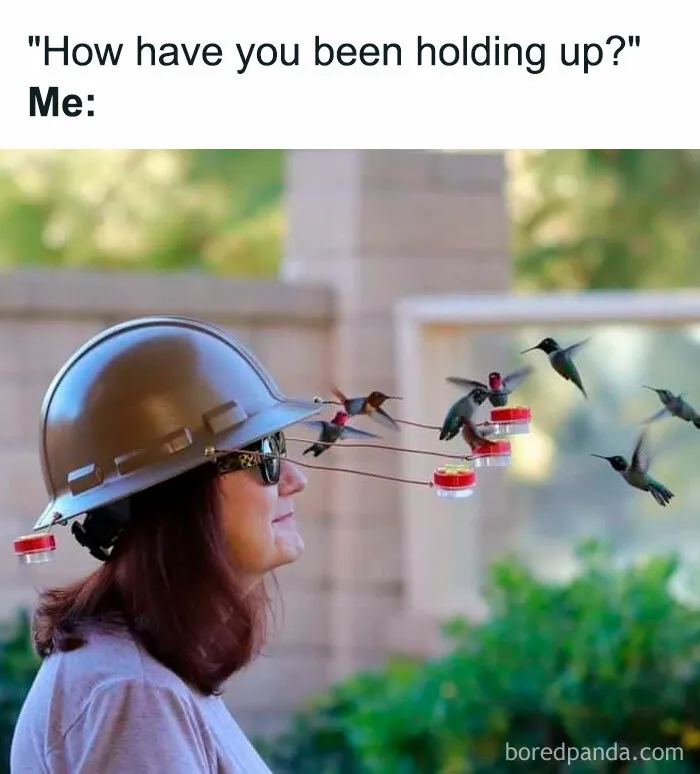 30 Of The Best “Birding Memes” Shared On This Dedicated Facebook Page