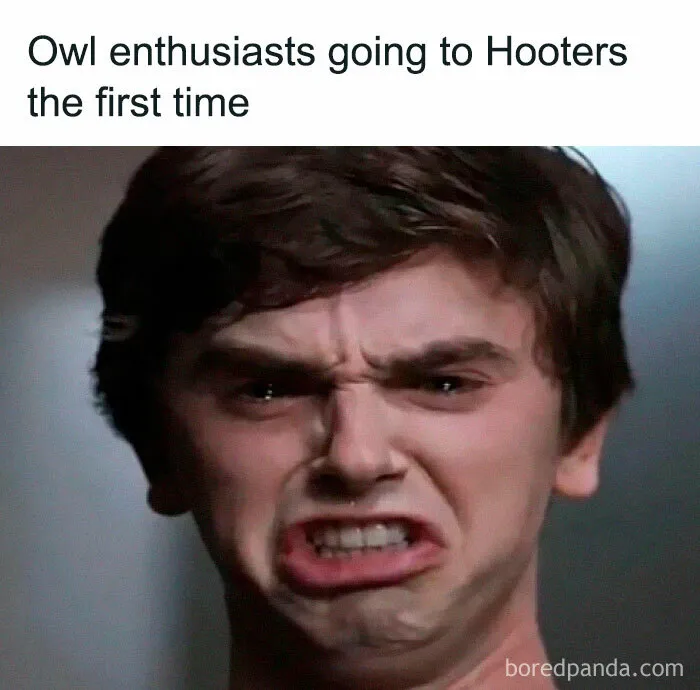 30 Of The Best “Birding Memes” Shared On This Dedicated Facebook Page