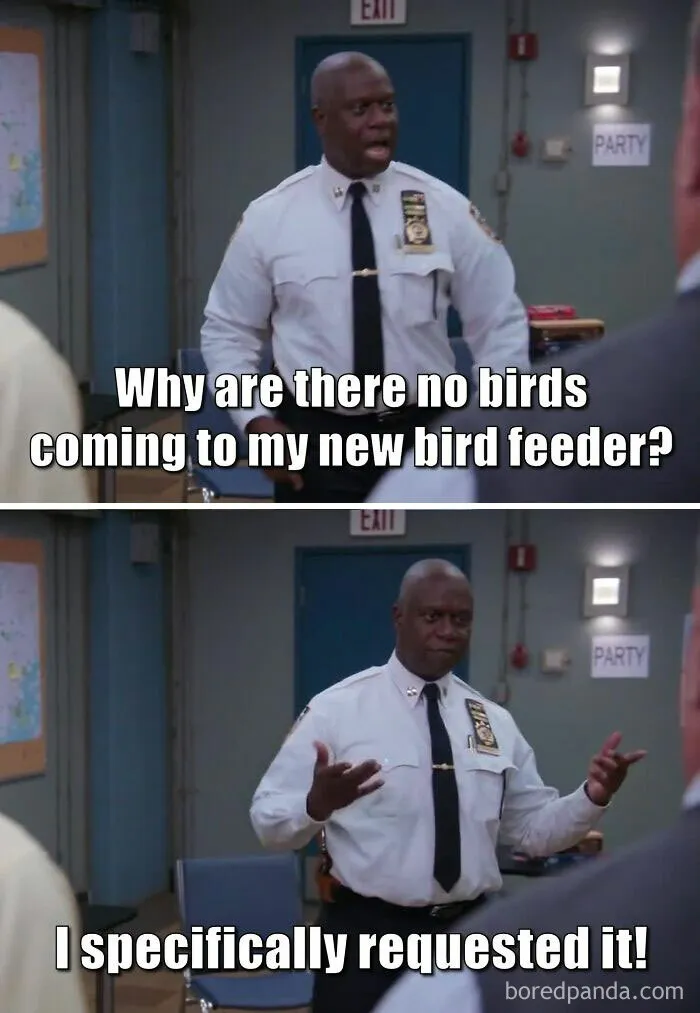 30 Of The Best “Birding Memes” Shared On This Dedicated Facebook Page