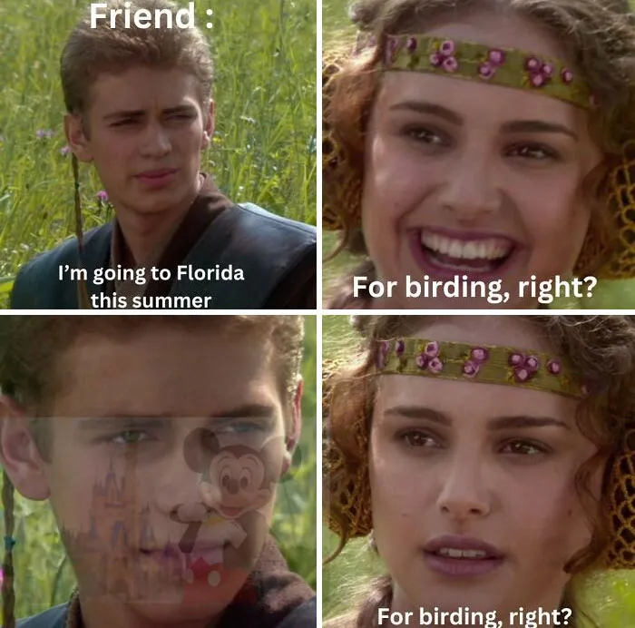 Young man saying he’s going to Florida with a friend asking if it’s for birding in a humorous birding memes format.