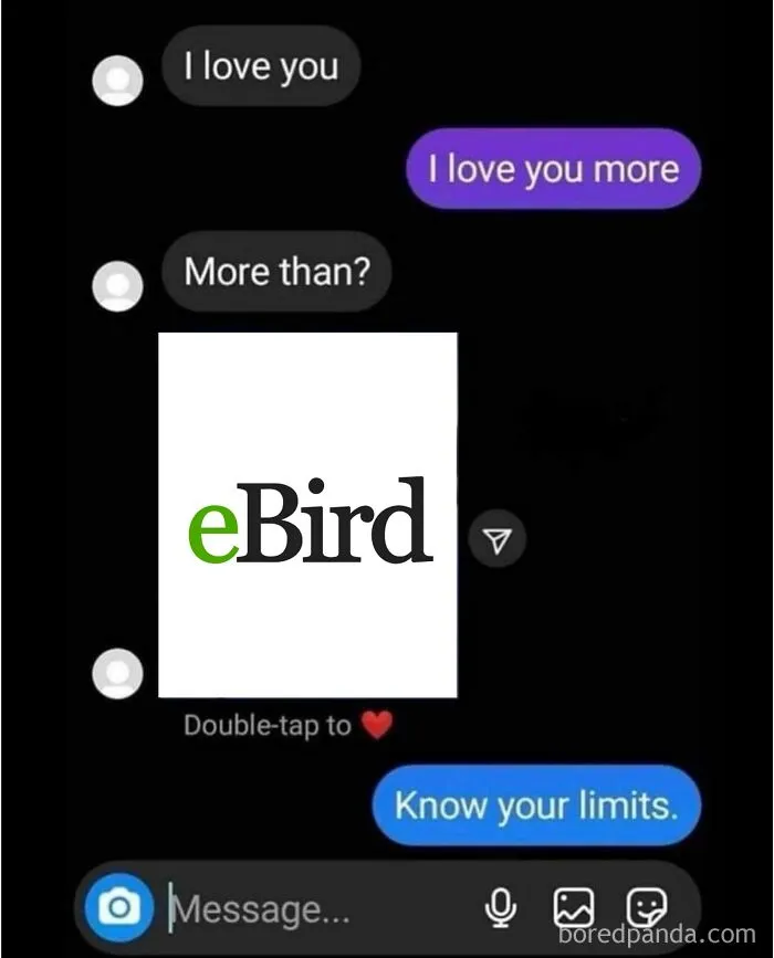 30 Of The Best “Birding Memes” Shared On This Dedicated Facebook Page