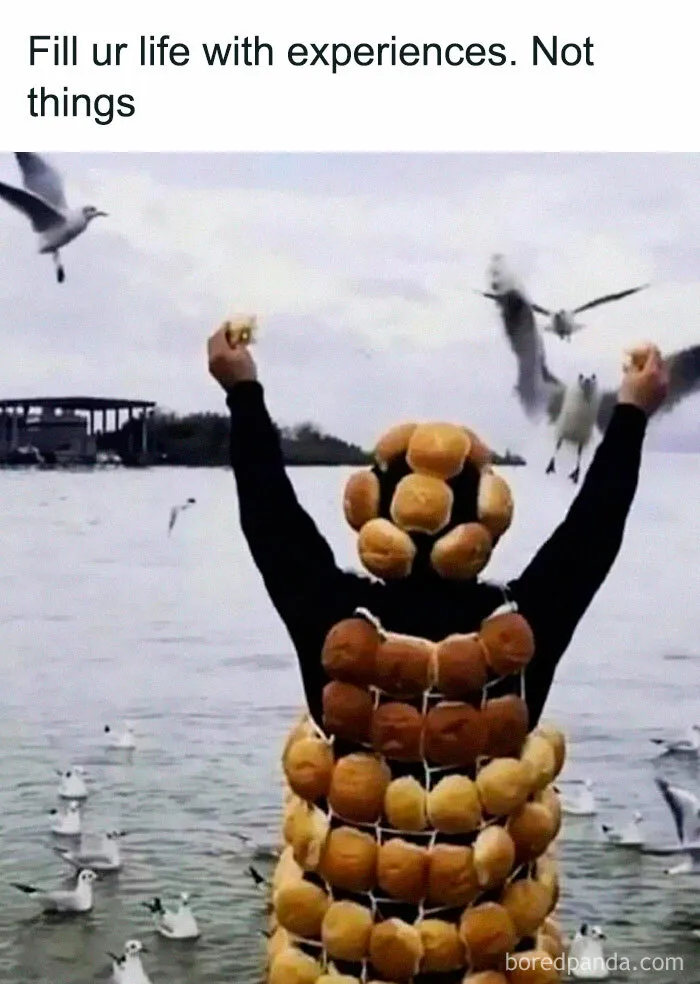 30 Of The Best “Birding Memes” Shared On This Dedicated Facebook Page