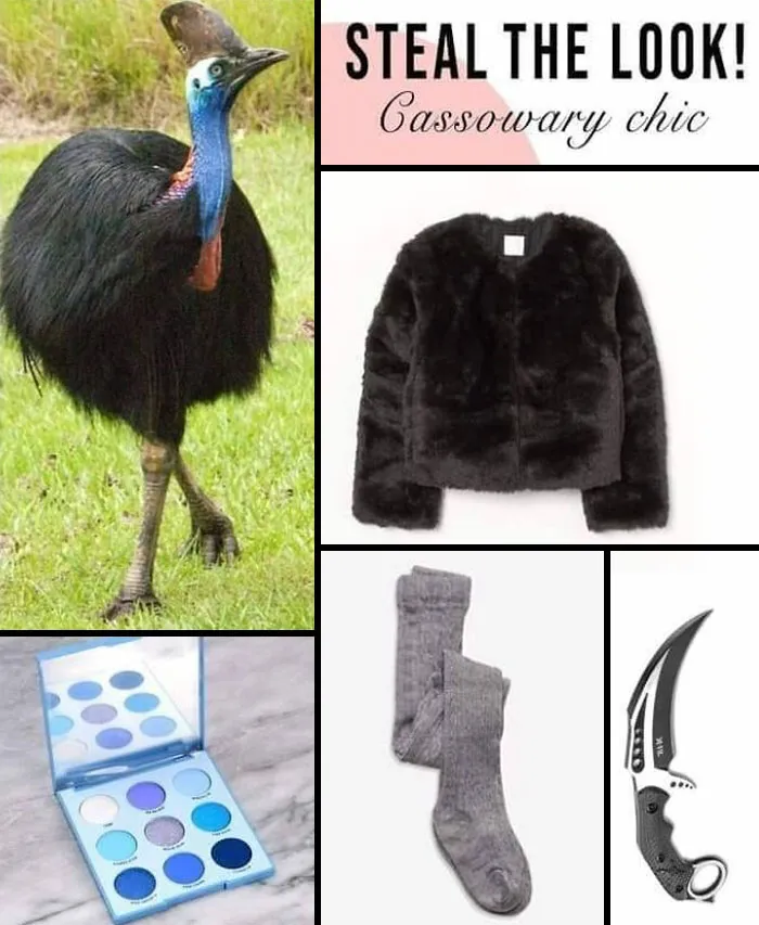 30 Of The Best “Birding Memes” Shared On This Dedicated Facebook Page