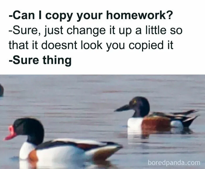 30 Of The Best “Birding Memes” Shared On This Dedicated Facebook Page