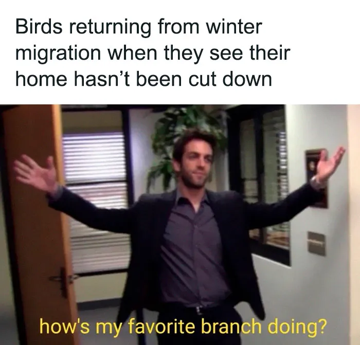 30 Of The Best “Birding Memes” Shared On This Dedicated Facebook Page