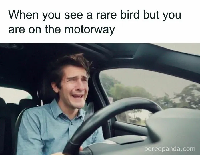 Man in a car making a funny face, caption about seeing a rare bird on the motorway in a birding meme context.