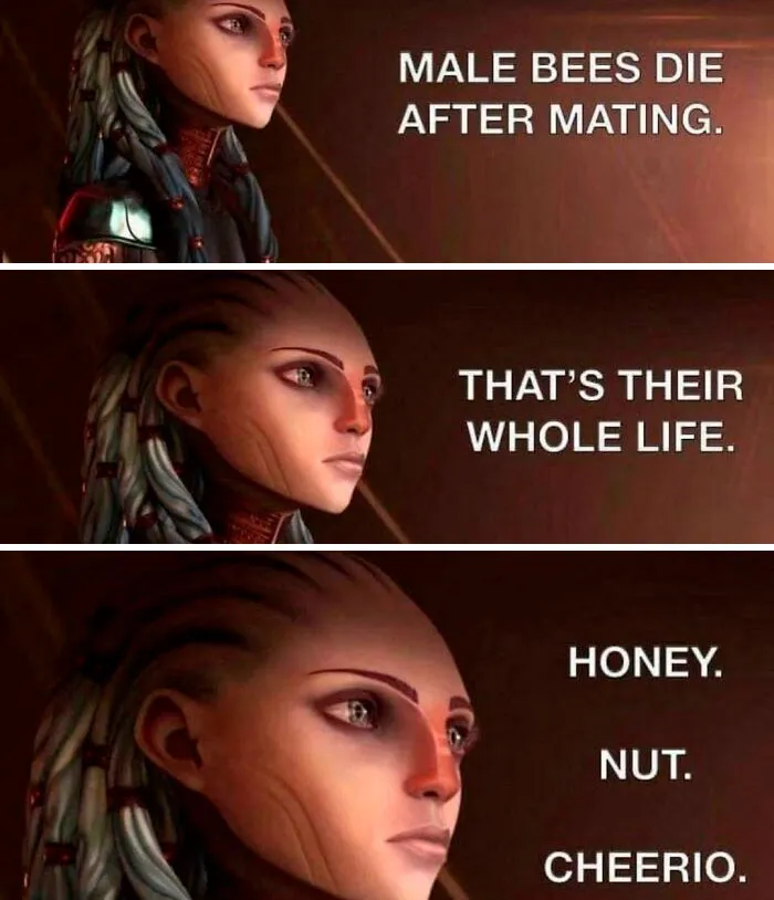 It All Makes Sense Now
