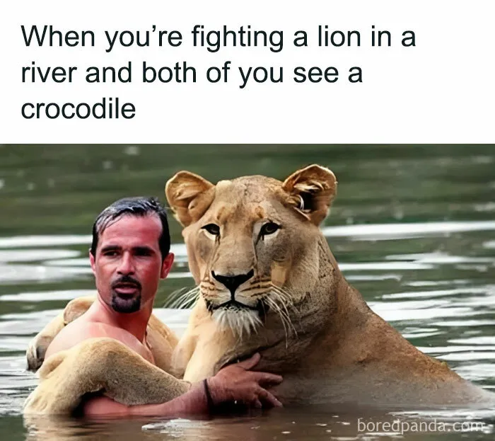 Ah S**t, Bro Let's Put Our Differences Aside For The Greater Good Of Our Survival 😂
