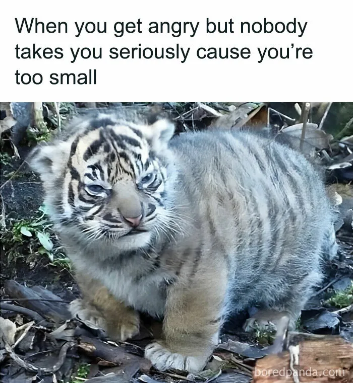 When I'm Hangry, I Don't Look As Cute, Unfortunately! 😍😂