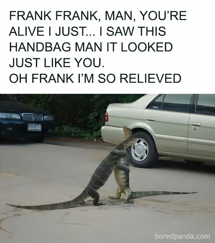 You Can Tell Which One Is Frank😭