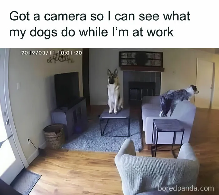 They’re Playing The Floor Is Lava 🔥