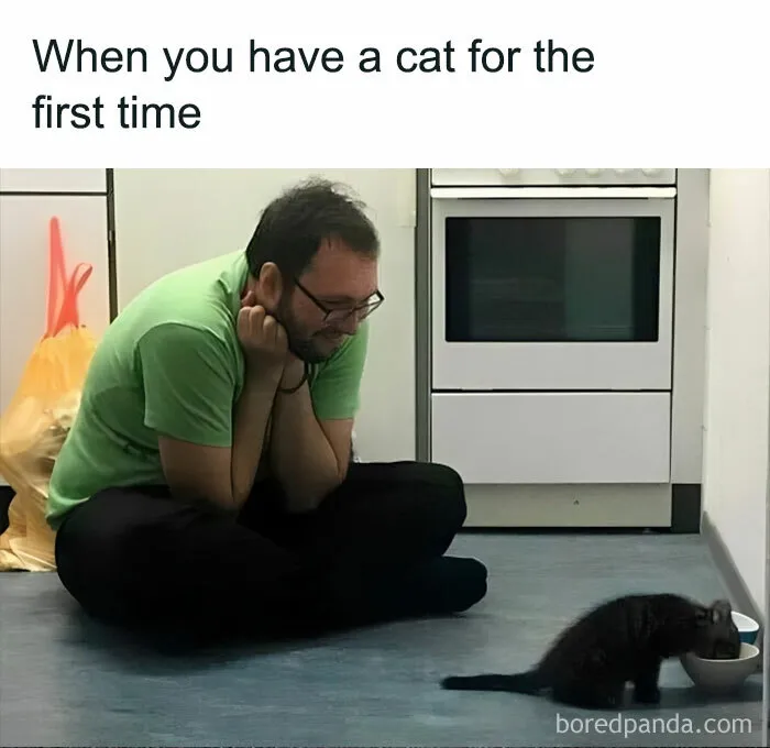 ..and Again For The Millionth Time