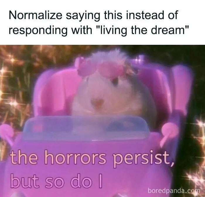 This IG Page Is Dedicated To Random And Funny Memes, Here Are The 50 Best Ones