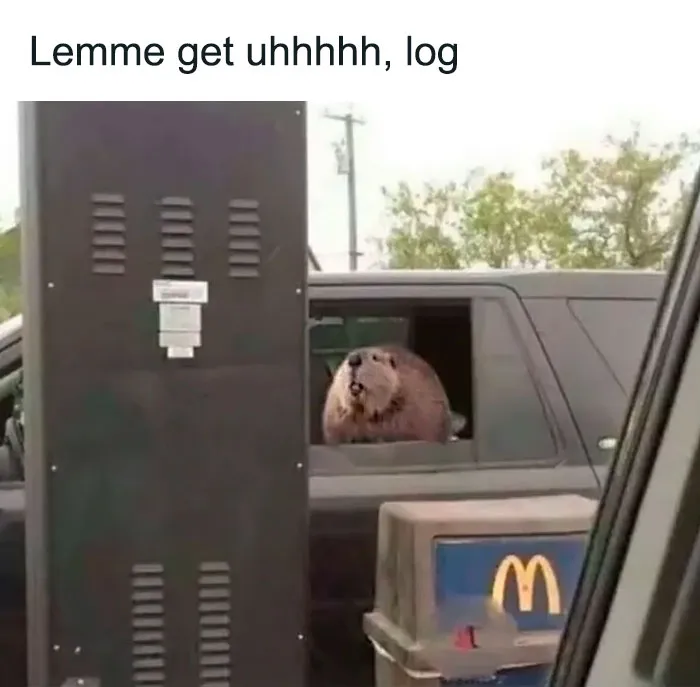 41 Memes For A Quick Break And A Good Giggle