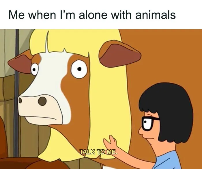 41 Memes For A Quick Break And A Good Giggle