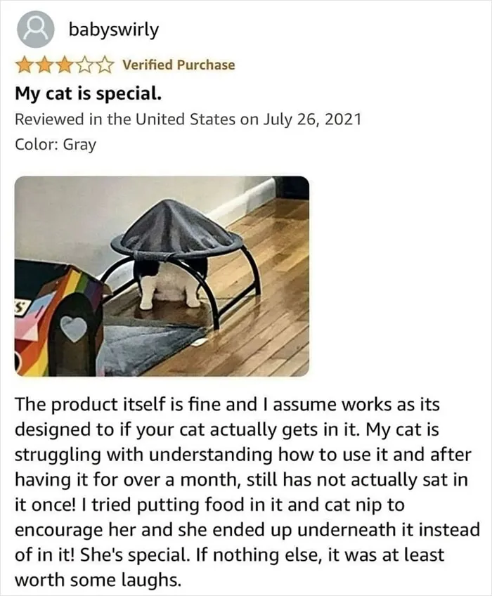 40 Times People Won The Internet With Their Hilarious Reviews