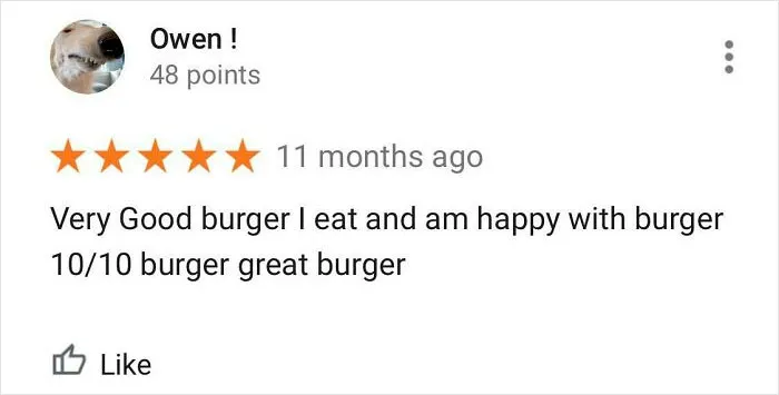 40 Times People Won The Internet With Their Hilarious Reviews