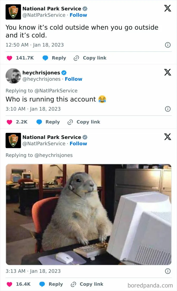 50 Times Animals Were The Perfect Meme Format, As Shared On This Instagram Page