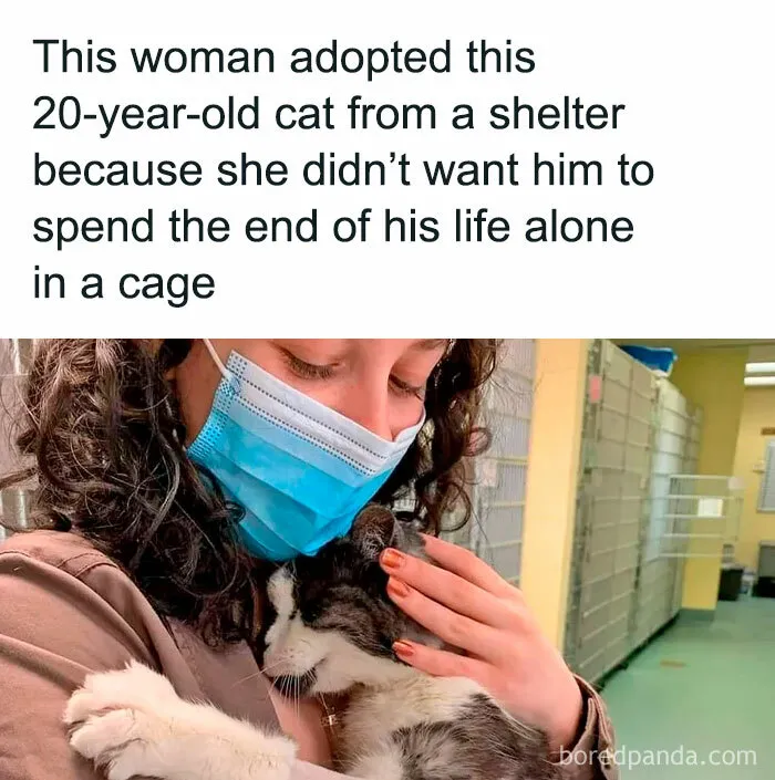 50 Times Animals Were The Perfect Meme Format, As Shared On This Instagram Page