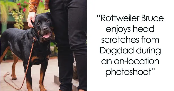 I Photographed 14 Dogs Interacting With Their Humans