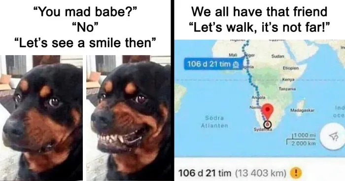 50 Hilarious Memes To Look At While You’re Supposed To Be Working (New Pics)