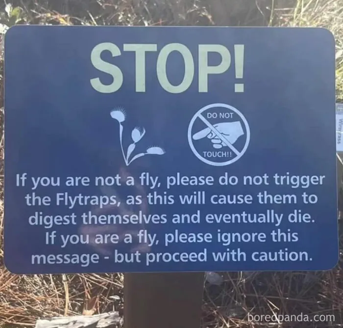 Meirl