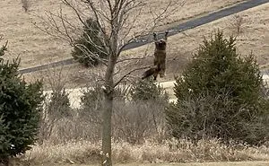 50 Mildly Interesting Things People Saw Through A Window And Just Had To Share