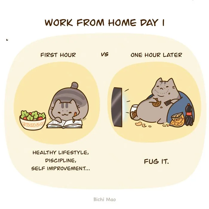 19 Wholesome Comics By Olive Yong Showing The Sweet And Naughty Side Of Chubby Cats