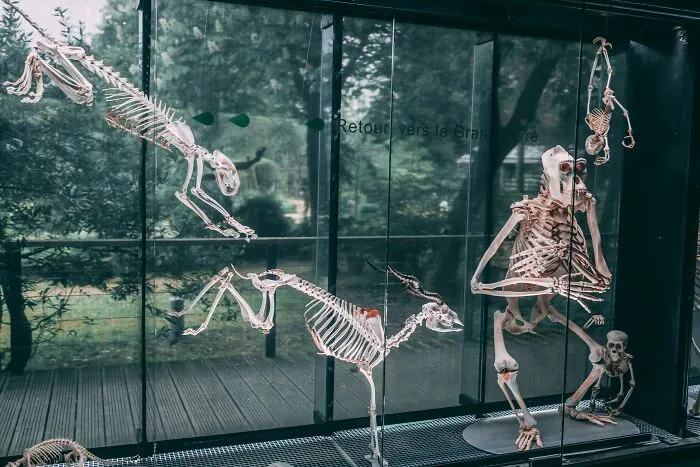 Someone Asks Zookeepers "What Are Zoo Secrets That People Wouldn’t Believe?", Gets 21 Replies