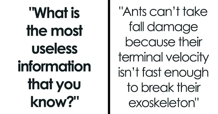 30 Useless Facts That Will Just Take Up Space In Your Head, Unless You’re A Random Trivia Fanatic