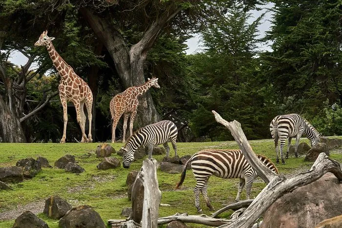 Someone Asks Zookeepers "What Are Zoo Secrets That People Wouldn’t Believe?", Gets 21 Replies