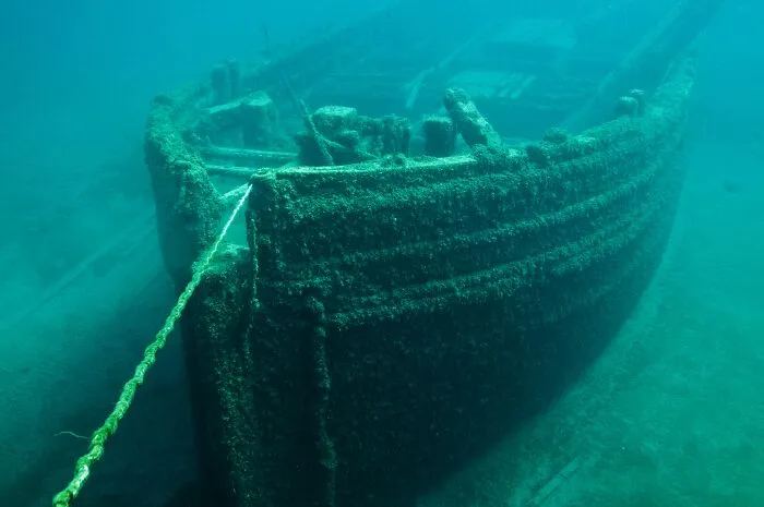 33 Of The Deepest Rabbit Holes People Ever Found Themselves Delving Into, As Shared Online 