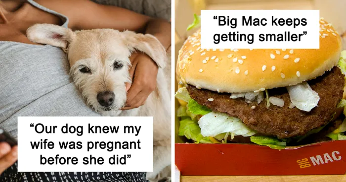 “My Dad Might Be Alive”: 50 Things People Are 100% Certain Are True Despite Having No Evidence