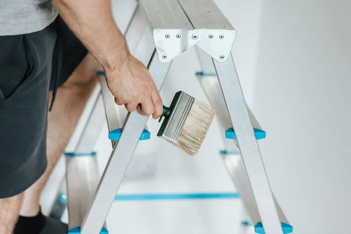 23 Examples Of Dangerous But Perfectly Legal Things That People Own