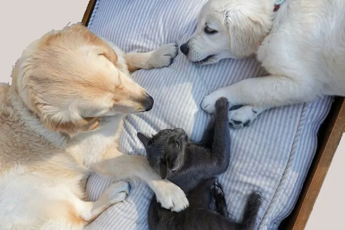 Peeps Online Share 30 Disappointing Things To Find About Their Partners