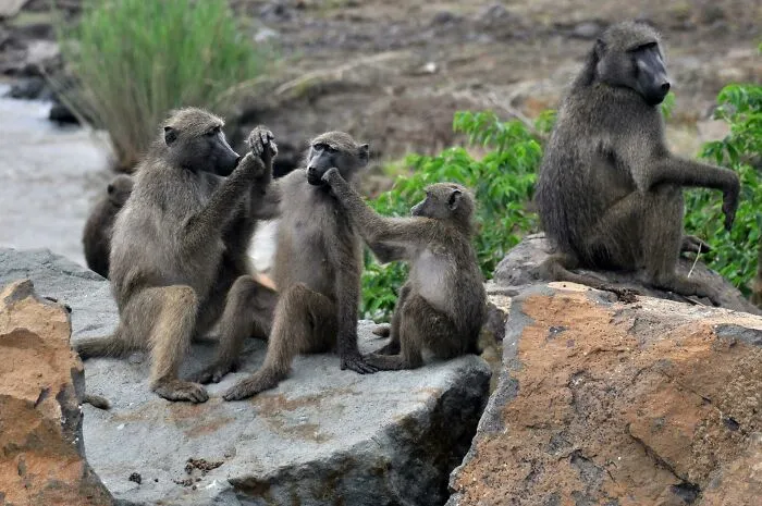 Someone Asks Zookeepers "What Are Zoo Secrets That People Wouldn’t Believe?", Gets 21 Replies