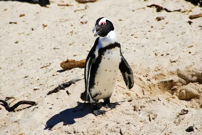 30 Interesting, Weird, And Straight-Up Creepy Things People Have Seen With No Proof