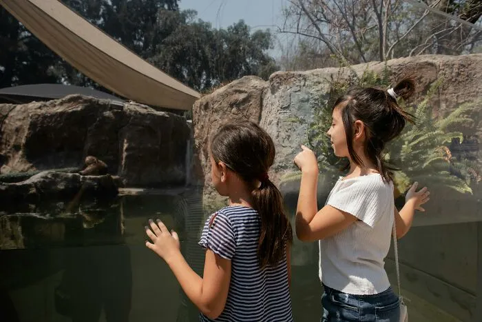 Someone Asks Zookeepers "What Are Zoo Secrets That People Wouldn’t Believe?", Gets 21 Replies