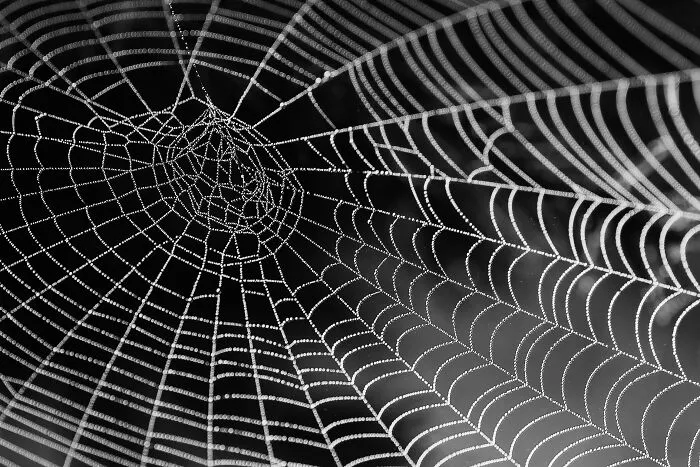 30 People Share What Loopholes They Exploited Until Someone Realized What Was Going On